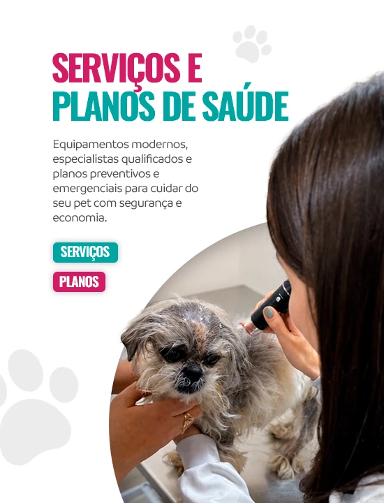 Banner 2 - Serviços