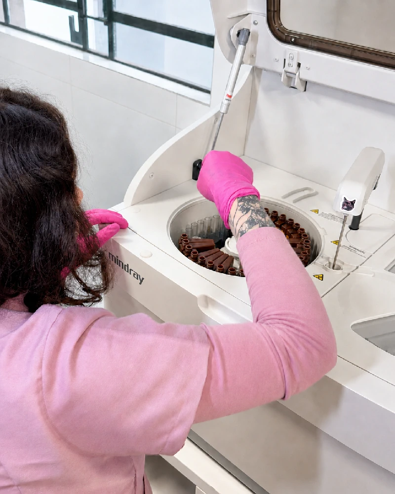 CLINICA VETERINARIA EM PASSO FUNDO