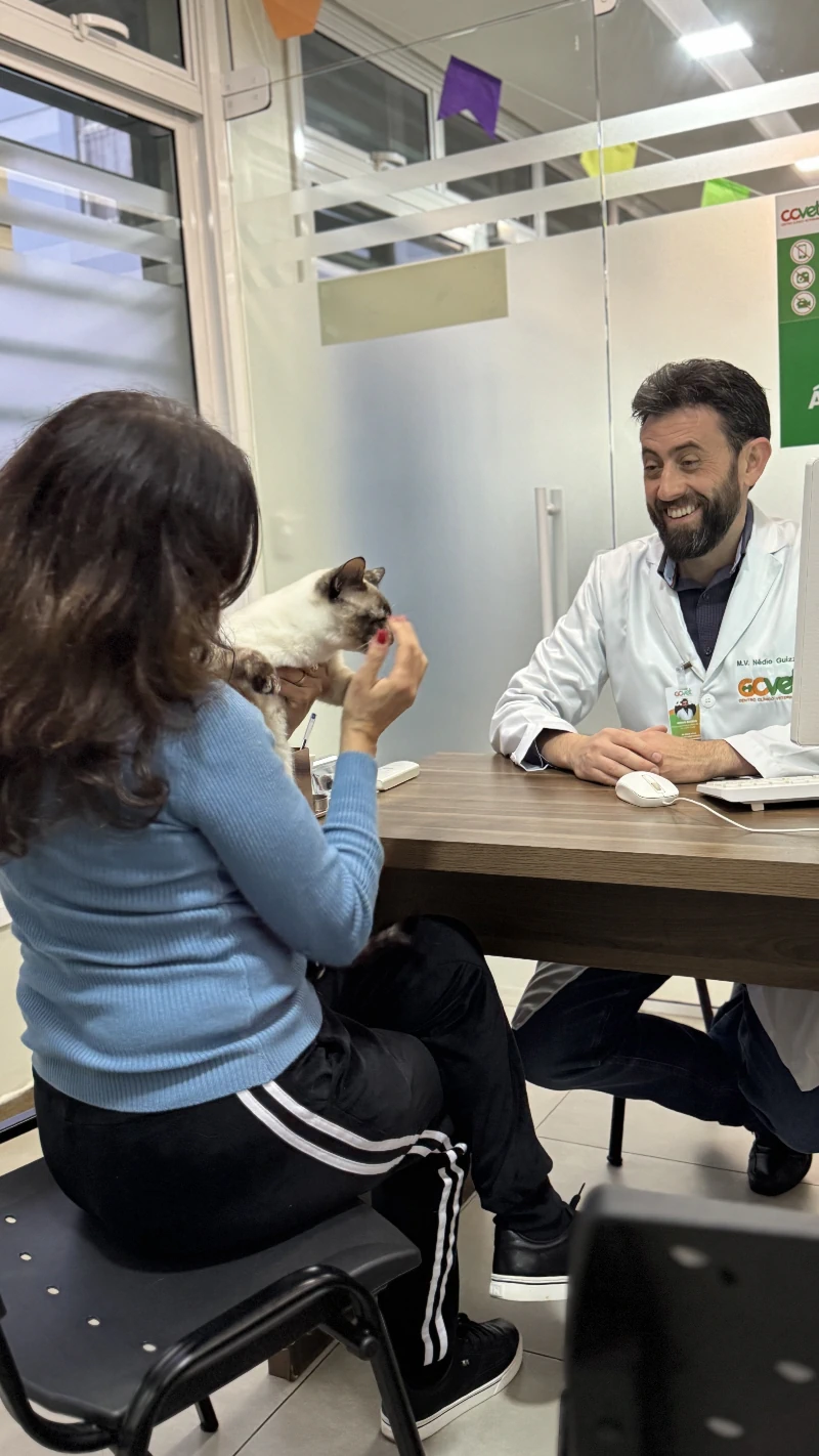 ATENDIMENTO 24H